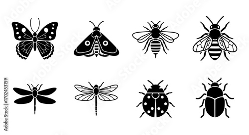 Diverse Collection of Insects Butterfly, Bee, Dragonfly, Ladybug