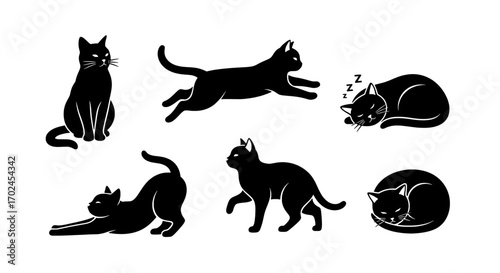 Black cat icons collection, silhouette of cat in different poses