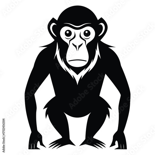 Illustration of a monkey isolated on white background, a primate with fur