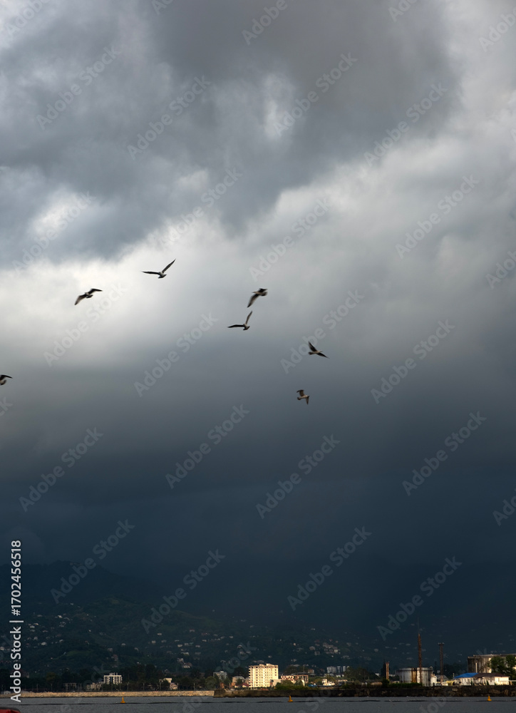 Obraz premium Big cumulus clouds over the mountains, stormy weather at the seaport, boats, sunlight, seagulls flying over the sea.