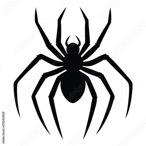 Silhouette of a spider isolated on white background with eight legs