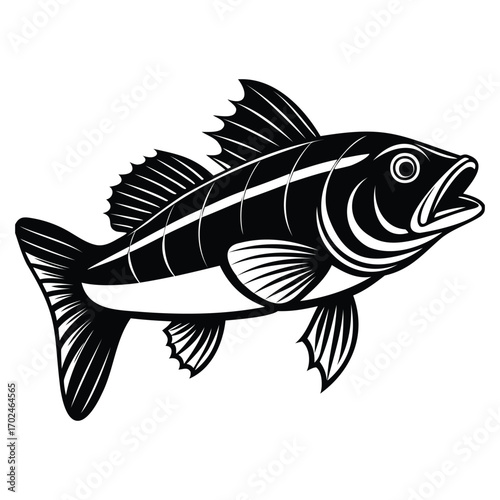 Zander Fish Silhouette Illustration