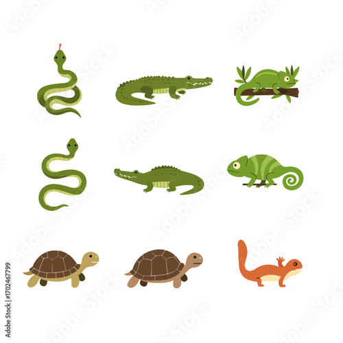 A collection of cartoon reptiles including snakes, crocodiles, chameleons, turtles, tortoises, and lizards on a white background.