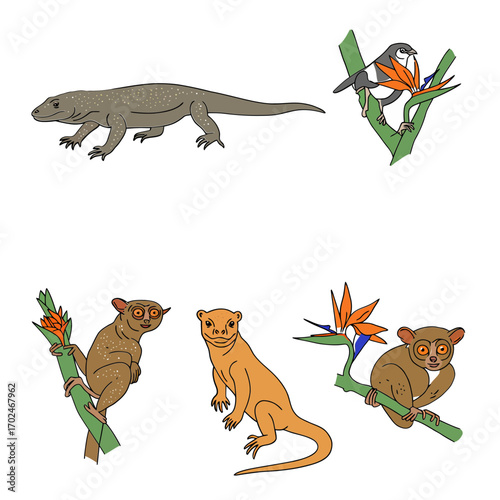 An illustration featuring various exotic animals including a Komodo dragon, a bird, a kinkajou, and tarsiers, alongside vibrant bird of paradise flowers.