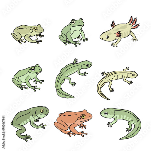 A collection of nine cartoon-style amphibians including various frogs, newts, salamanders, and an axolotl, depicted with simple outlines and solid colors.
