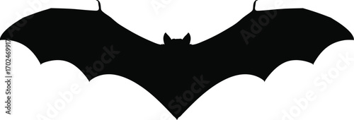 Silhouette of a bat with outstretched wings on a white background