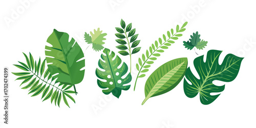 Collection of greenery leaf plant forest herbs tropical leaves .Botanical background with foliage  in squares ..vector icon
