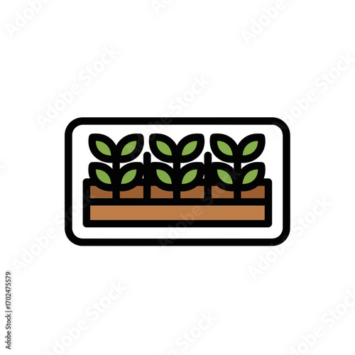 Seedlings grow inside tray cultivation graphic flat
