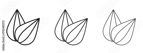 Almond icon, outline sign, linear symbols