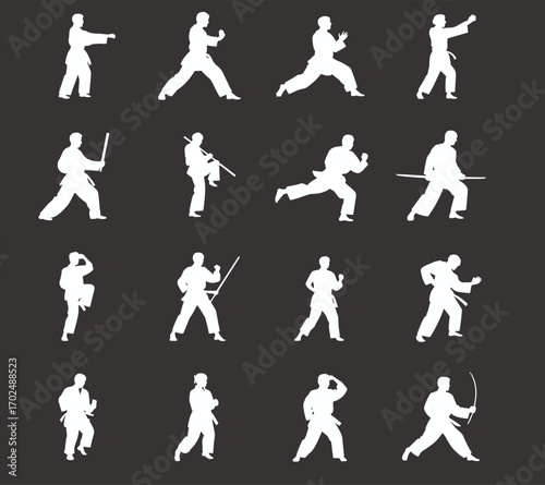 Martial arts, karate pose, self defense, fighting stance, combat training, kickboxing move, karate silhouette, martial discipline, fighter action