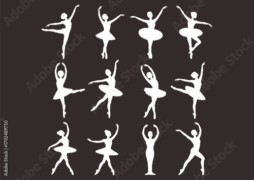 Ballet dancer, ballerina pose, classical dance, elegant movement, graceful performance, stage art, ballet silhouette, ballerina dance, artistic expression