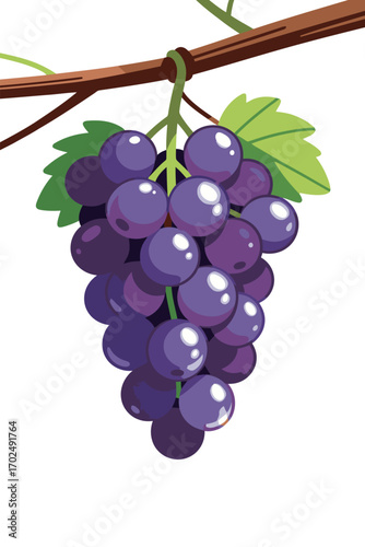 A vibrant illustration of a bunch of ripe purple grapes hanging from a vine with green leaves, representing a fresh, natural harvest, healthy food, and autumn season.