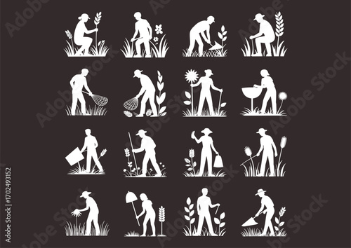 Farmers working in fields, planting crops, watering plants, harvesting, agriculture lifestyle, organic farming, eco gardening, sustainable food, rural community life