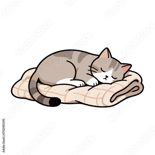 A cute and fluffy cat with tabby markings sleeping peacefully on a quilted blanket or cushion. The illustration captures a cozy, restful scene.