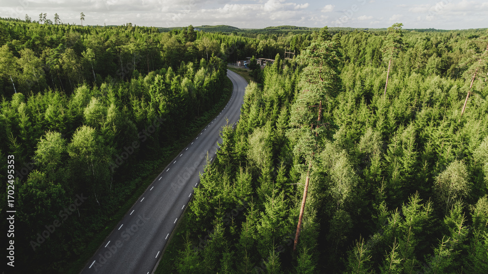 Fototapeta premium Top-down drone photo of a straight asphalt road dividing a dense coniferous forest. The symmetrical composition and rich green tones create a peaceful, natural atmosphere. 