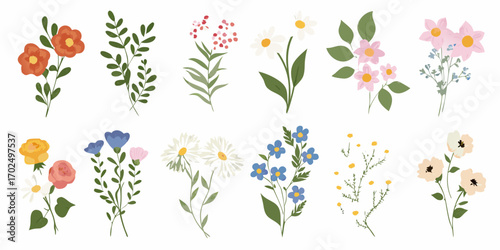 Collection of hand drawn watercolor style floral elements and botanical illustrations on white background