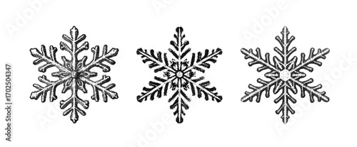Vintage style snowflakes on white background. Christmas collection     