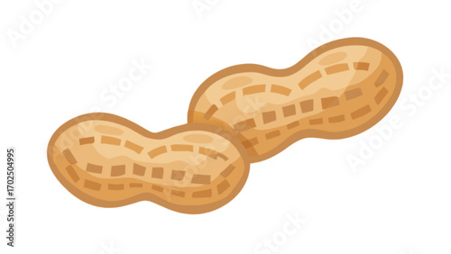 Delicious peanuts in shell vector illustration for healthy snack and food design concept use, isolated