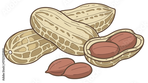 Delicious peanut kernels and pods illustration for healthy snack and nutritious food concept design