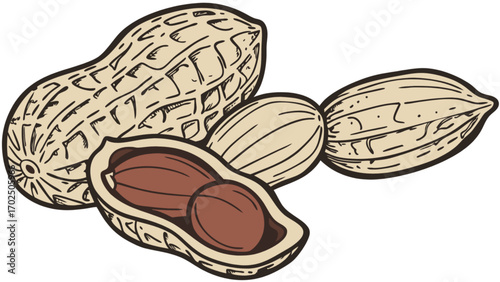 Delicious peanuts shelled and unshelled peanut snack healthy food legume protein source nutrition diet