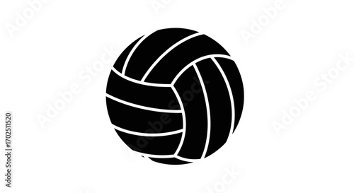 Black and White Volleyball Illustration with Distinct Panel Lines.