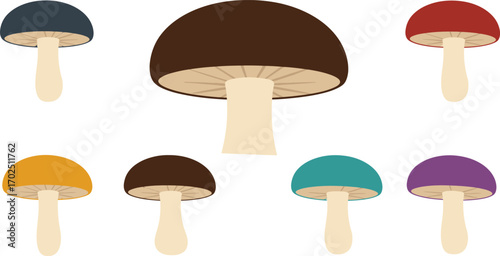colorful mushrooms arranged in two rows with different caps