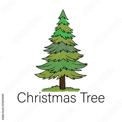 Christmas tree watercolor vector illustration, Merry Christmas tree t-shirt design, card design