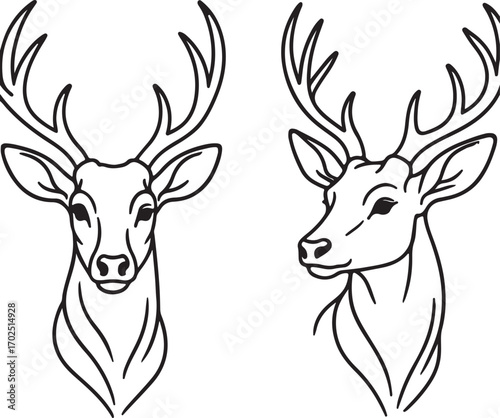 Deer heads line art 
