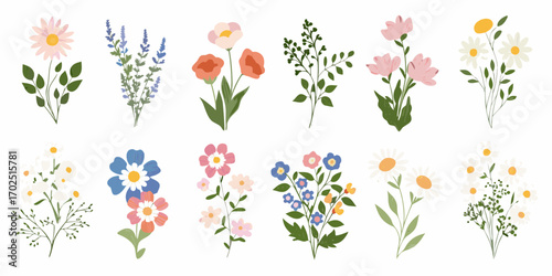 Wallpaper Mural Collection of delicate hand drawn floral illustrations with various flowers and greenery Torontodigital.ca