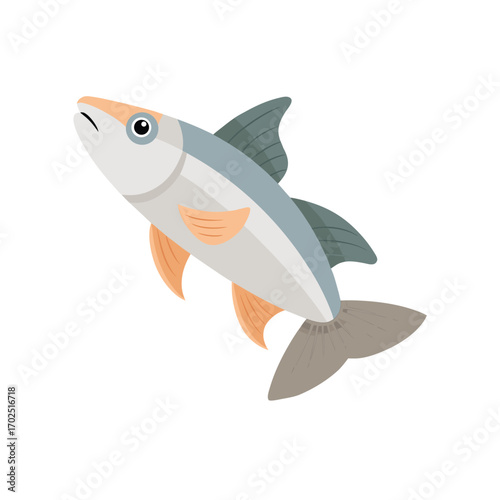 Vector art of cartoon light blue and white fish with orange fins swimming