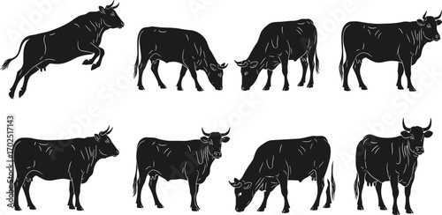 Cow silhouette vector set with grazing and standing poses, horned cattle farm animal design for agriculture, dairy, livestock, and rural themes