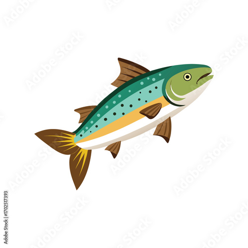 Vector art of cartoon salmon fish