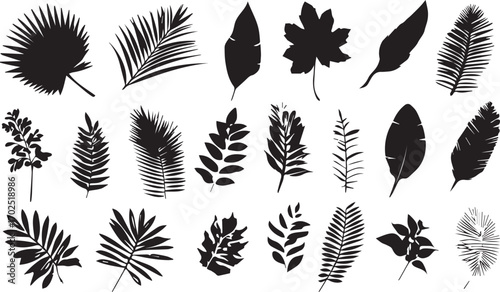 Collection of various tropical and deciduous leaf silhouettes silhouette
