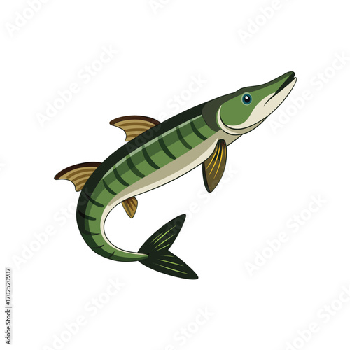 Vector art of green pike fish