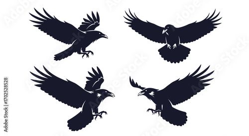 Majestic crows soaring through the sky with wings spread in four dynamic poses of flight collection