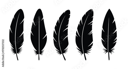 Five black feathers isolated on white background, each with a unique shape and texture, creating a visually appealing and minimalist composition