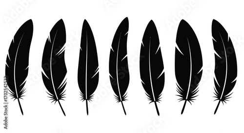 Five black feathers isolated on white background, each with a unique shape and texture, creating a visually appealing and minimalist composition