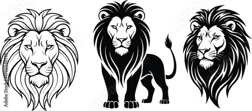 Lion head illustration, tribal lion design, black and white lion art, majestic lion tattoo, strong fierce animal symbol