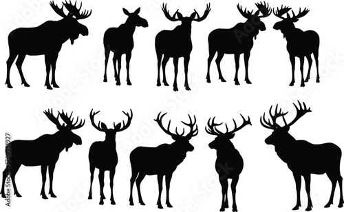 Silhouettes of moose and elk animals, wildlife vector illustration, forest animals, nature silhouettes, antlers, wild mammals, black and white design