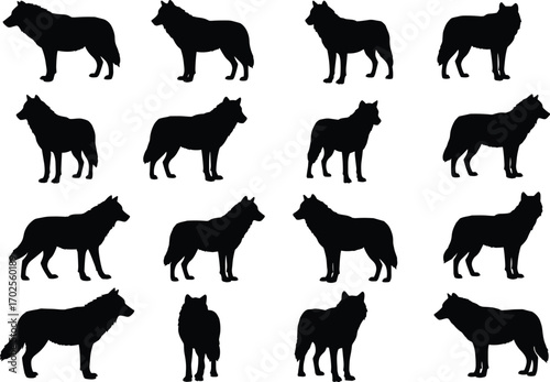 Wolf silhouette set, wild animal vector, black wolf illustration, forest creature clipart, predator silhouette graphic, nature wildlife design, canine animal icon, hunting wolf image