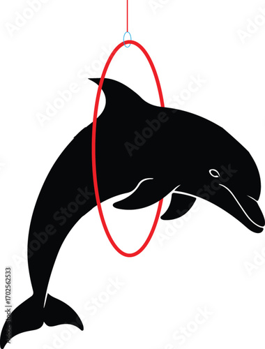 dolphin high jump