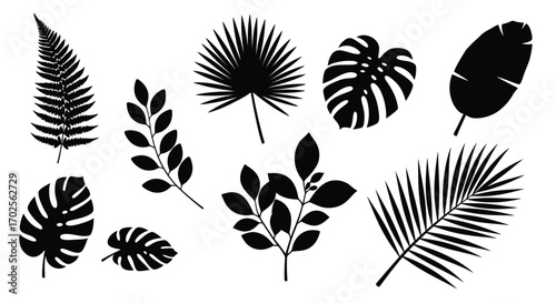 Silhouette of tropical leaves isolated on white background a collection of various leaf shapes and sizes, creating a visually appealing botanical arrangement