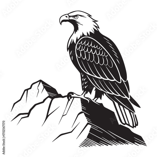 Bald eagle perched on a rocky outcrop, a majestic bird of prey with sharp features and powerful talons, symbolizing freedom and strength