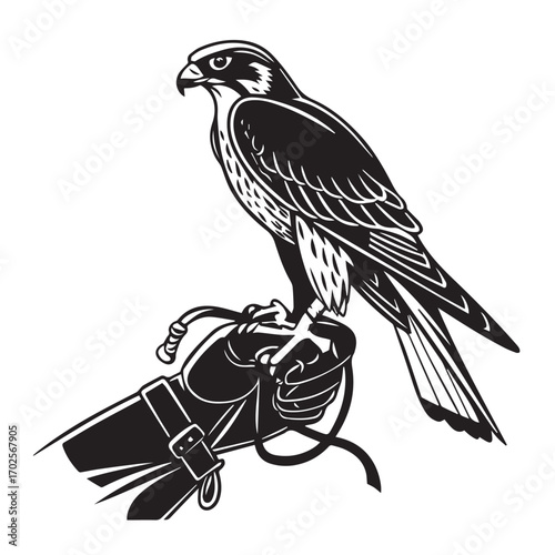 Black and white illustration of a falcon perched on a falconers glove, isolated on white background