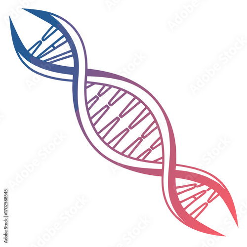Stylized dna strand, a symbol of genetic code