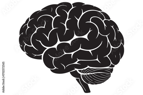 Brain silhouette icon simple vector illustration isolated on white background for medical concepts
