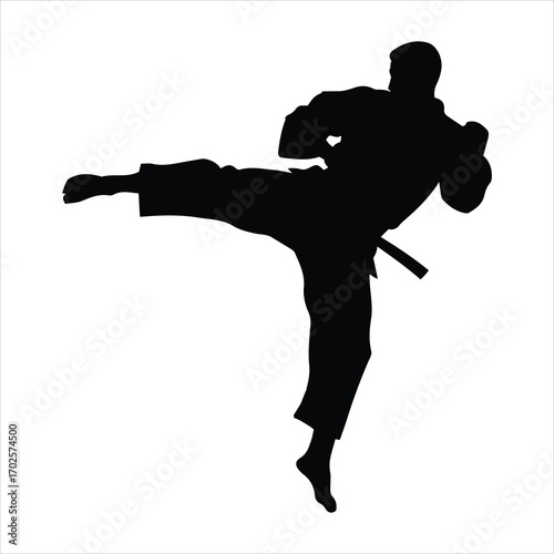 Dynamic silhouette of a karateka performing a powerful side kick in martial arts training