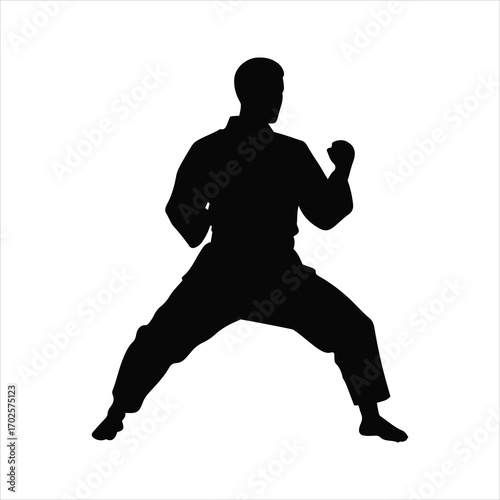 Silhouette of a martial artist in a fighting stance ready for action dynamic pose