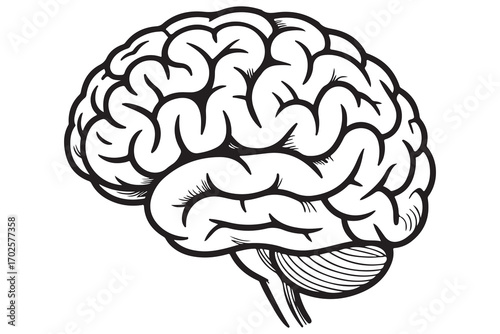 Brain silhouette icon simple vector illustration isolated on white background for medical concepts
