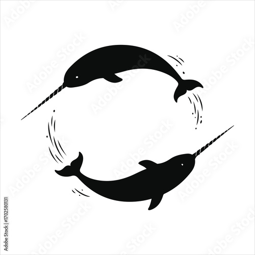 Two silhouetted narwhals swimming in a circular pattern arctic marine mammal